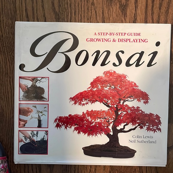 Accents Growing And Displaying Bonsai Poshmark